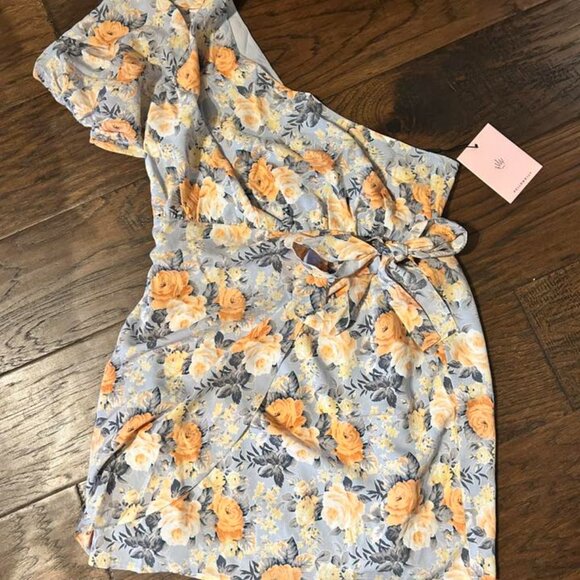 NWT Hello Molly Floral Dress Size XL (Fits like a Large) - Picture 2 of 2
